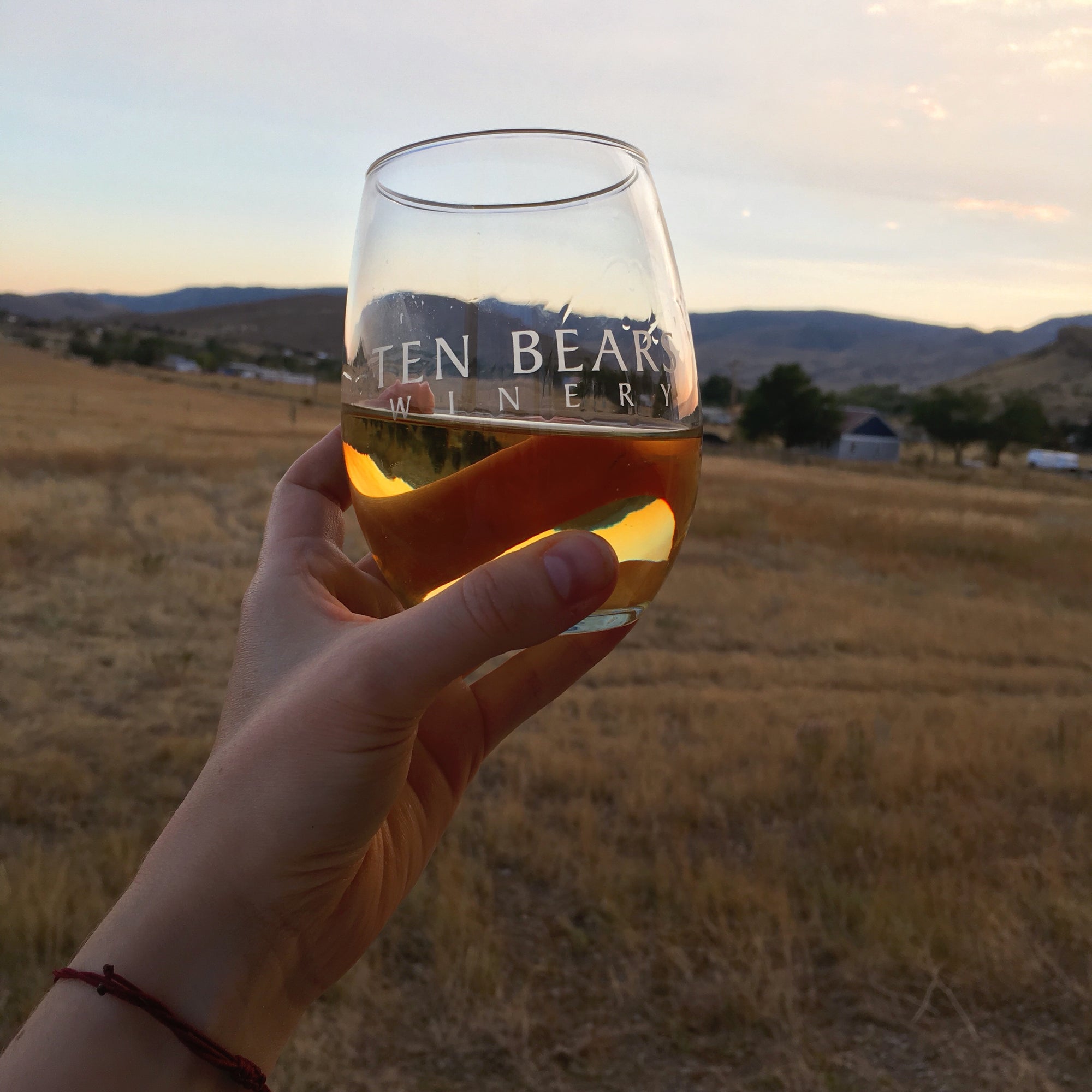 Ten Bears Winery Review - Northern Colorado