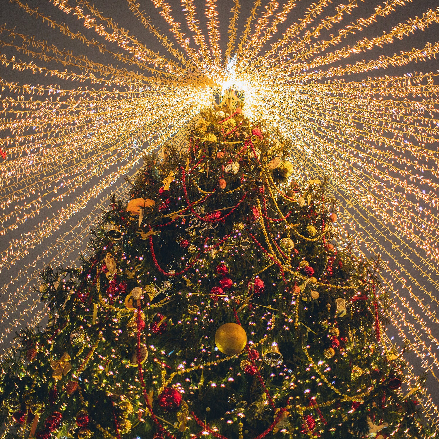 Holiday Gift Guide - Gifts for Medical Professionals