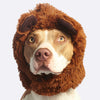Holiday Gift Guide - Gifts for Pitbull Moms & Dads