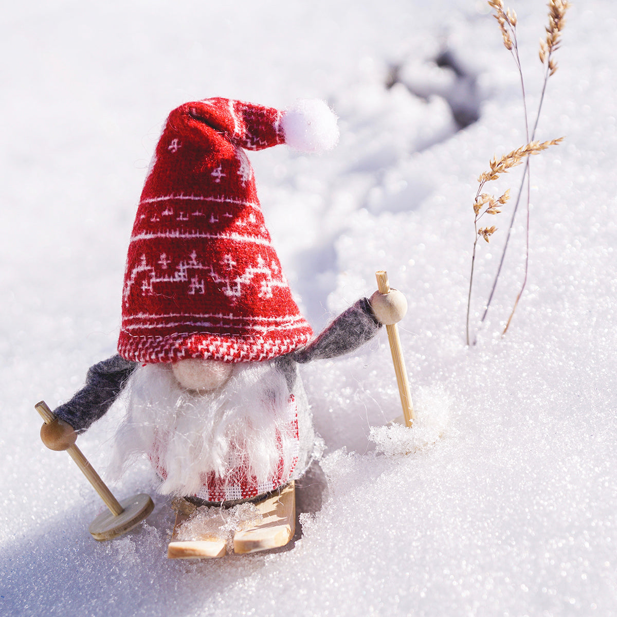 Holiday Gift Guide - Gifts for Skiers