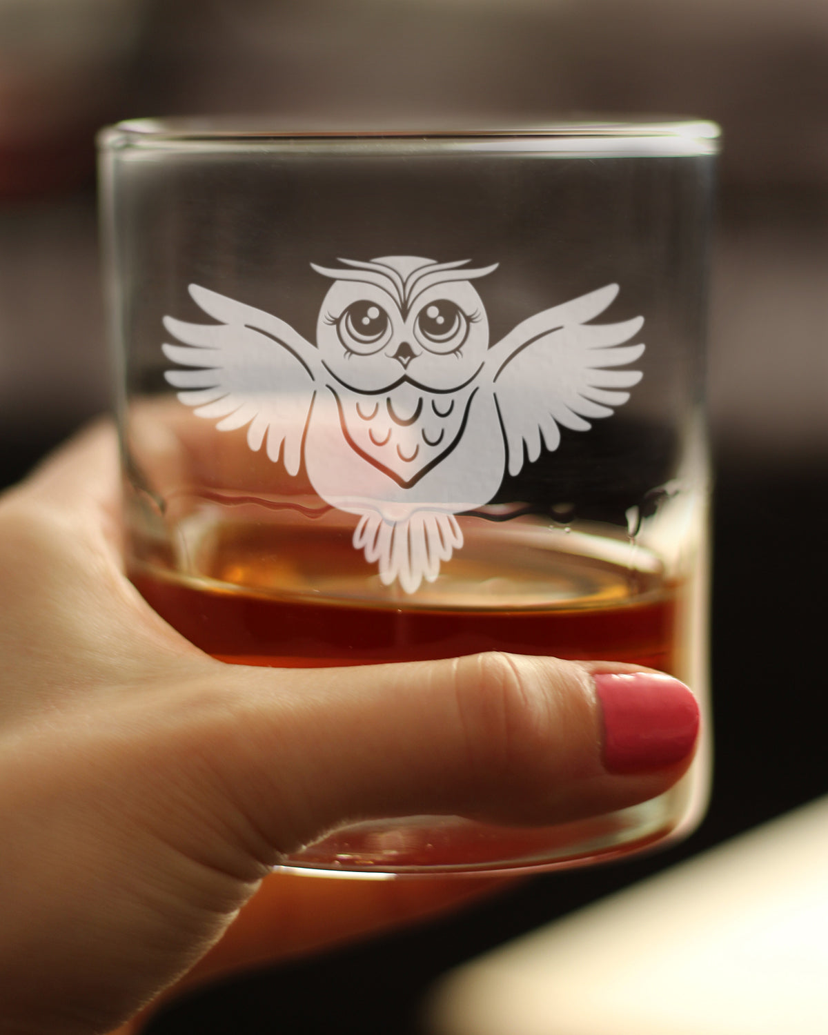 Cute Owl Rocks Glass - Fun Owl Decor and Gifts for Women and Men - 10.25 Oz Glasses