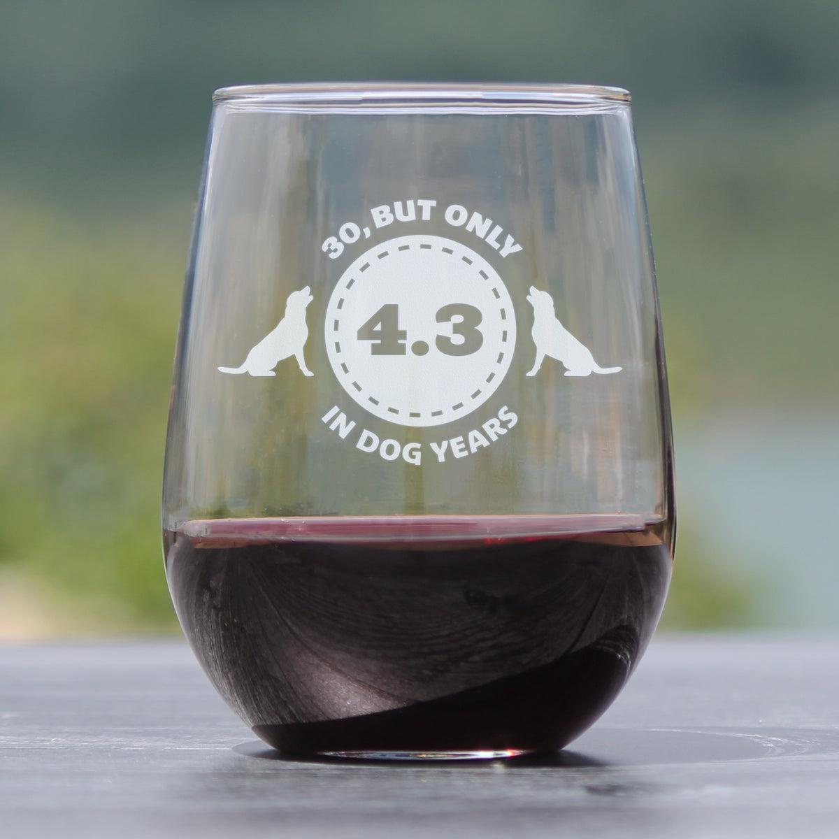 30th Birthday Dog Years - Stemless Wine Glass Gift - Unique Funny Bday Gifts for Women and Men Turning 30 - Large 17 Ounce