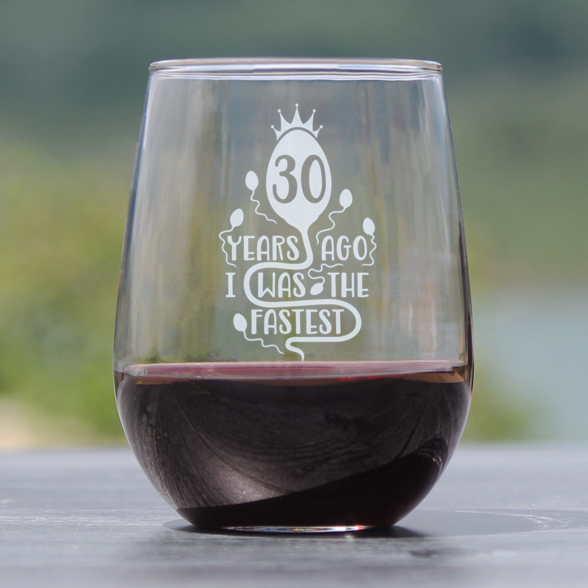 30 Years Ago I Was the Fastest - Stemless Wine Glass Gift - Funny 30th Birthday Gifts for Women and Men Turning 30 - Large 17 Ounce